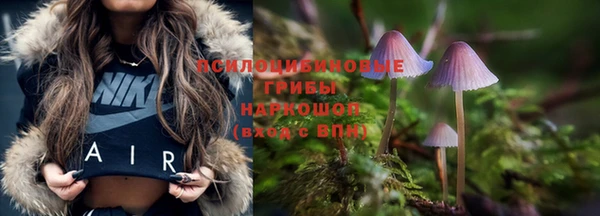 дживик Алексеевка