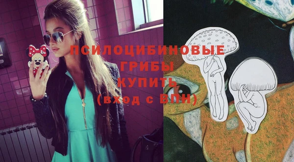 дживик Алексеевка